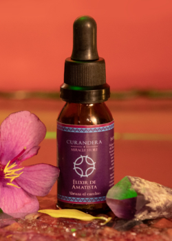 ELIXIR DE AMATISTA