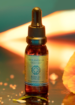 ELIXIR DE CITRINO
