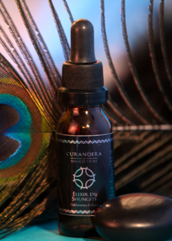 ELIXIR DE SHUNGITE